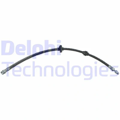 Immagine di DELPHI LH6961 Tubi Freno 687mm M10x1 Int