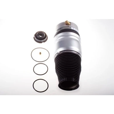 Immagine di DENCKERMANN DSA113G Molla pneumatica, Autotelaio Assale anteriore Sx pneumatica