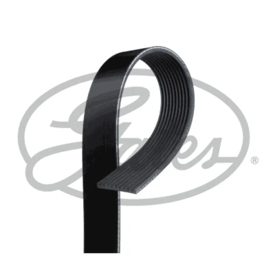 Immagine di GATES 10PK1570HD Cinghia Poly V 1570 10 Poliestere, EPDM (Etilene Propilene Diene Caucciù)