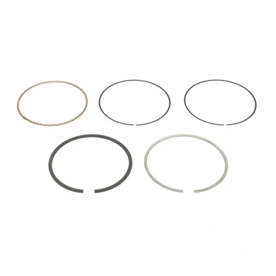Immagine di GOETZE ENGINE 08 436000 00 Kit Fasce Elastiche 89 NISSAN: X Trail