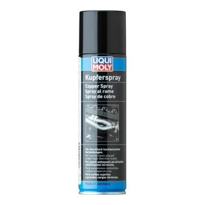 Immagine di LIQUI MOLY 1520 Grasso al rame 250