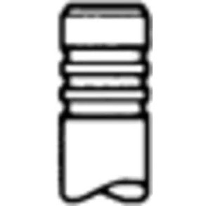 Immagine di TRW Engine Component 171116 valvola di Scarico 32,3 stelo cromato, Terminale temprato IVECO: DAILY 3
