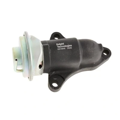 Immagine di DELPHI EG10648 12B1 Valvola EGR con guarnizioni, senza radiatore