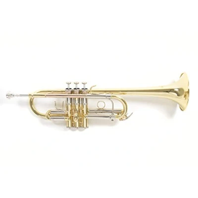 Immagine di Roy Benson C Trumpet TR 402C (tromba versatile, con accordatura commutabile da Do a Sib, inclusa pratica custodia rettangolare zaino), laccata.