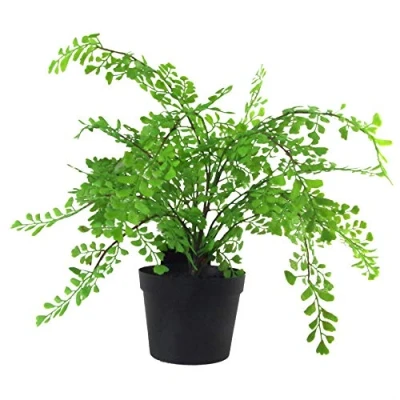 Immagine di Leaf Mini Pianta Artificiale con Vaso, Felce Capelvenere, 35cm