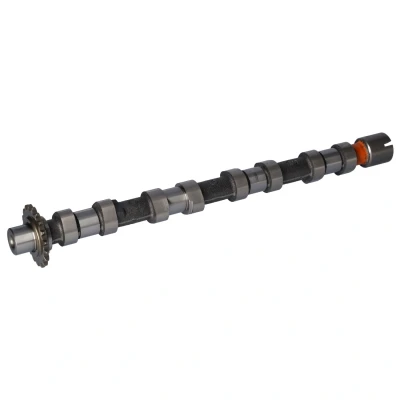 Immagine di FEBI BILSTEIN 181657 Albero a Camme Lato aspirazione FORD: C Max 2, Galaxy Mk2 MPV