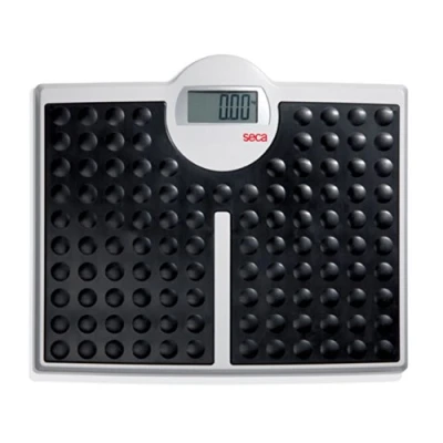 Immagine di seca 813 High Capacity Digital Flat Scale for Individual Patient Use.