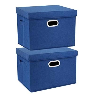 Immagine di TYEERS Grandi Scatole Portaoggetti, in Tessuto, Pieghevole, con Coperchio, 44x30x29 cm, Set di 2, Blu Classico