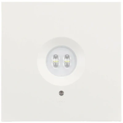 Immagine di H1 Solutions 1045 luce di sicurezza Montaggio a soffitto