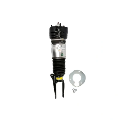 Immagine di Arnott AS 3037 Gamba elastica con ammortiz. pneumatico anteriore Dx