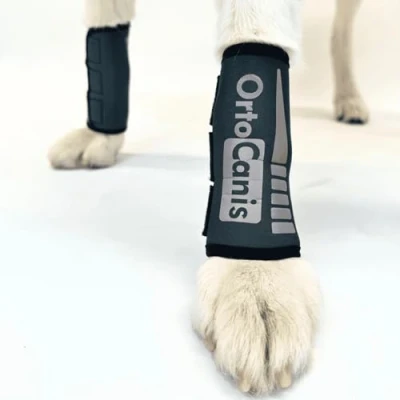 Immagine di Ortocanis Protettore Carpale Flessibile per Cane Tutore Carpo Artrosi, Lesioni ai Legamenti e Tendini, Cani da Agility Neoprene ARD Taglia XS 9 11 cm