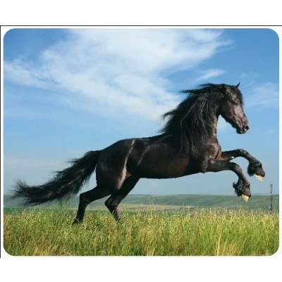 Immagine di CAVALLO NERO Tappetino per mouse, molto resistente allo strappo, con una forte base adesiva presa ottimale compatibile tutti i tipi di mouse (24 x 19 cm)