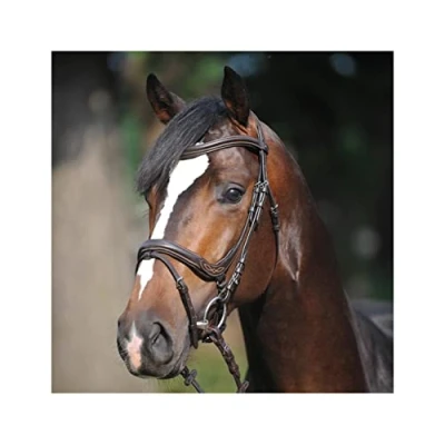 Immagine di Kavalkade Bridle Ivy