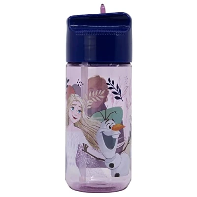 Immagine di BOTTIGLIA PICCOLA IN TRITAN IDRO 430 ML FROZEN TRU Stor