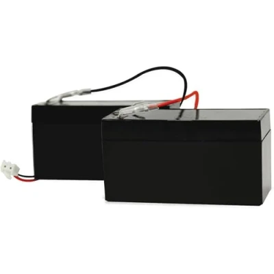 Immagine di SCS Sentinel AAM0127 Un corredo di 2 batterie sostegno 12 / 24V 30 CM