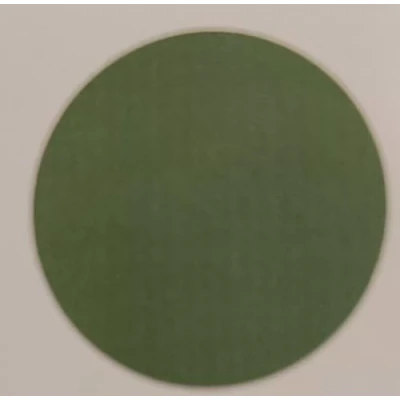 Immagine di SIGILL Vernice spray acrilica sigillante ad alta qualità, 400 ml, Nero, Bianco, Rosso (VERDE RESEDA RAL 6011)