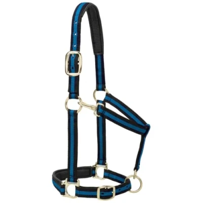 Immagine di Weaver Leather Cavezza imbottita regolabile in nylon, blu, 2,5 cm, cavallo piccolo