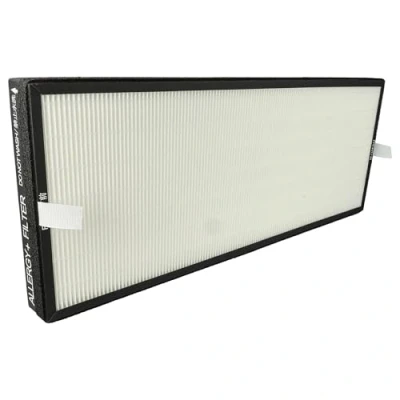 Immagine di vhbw filtro HEPA compatibile con Rowenta Intense Pure Air Connect PU6080, PU6080 F0 umidificatore