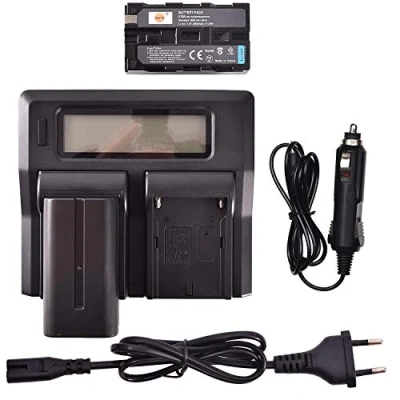 Immagine di DSTE® 2 Pack Ricambio Batteria NP F550 F570 F330 + LCD Dual Caricabatterie Compatibile per Sony CCD TR11,CCD SC55,TR910,TR917