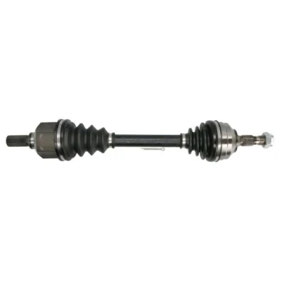 Immagine di Albero motore/Semiasse PASCAL G2P062PC