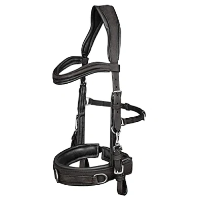 Immagine di Waldhausen Cavesson in pelle anatomico Pony Nero