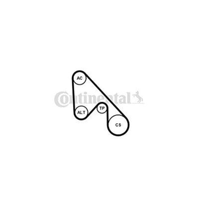 Immagine di CONTITECH 5PK1145K1 Kit cinghie Poly V FIAT: 500 Hatchback, Panda II Punto Evo LANCIA: Ypsilon II, FORD: KA Hatchback