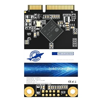 Immagine di Dogfish Msata SSD 256GB unit?a Stato Solido Interne Drive Hard Disk Internal Solid State Mini Sata (MSATA 256GB)
