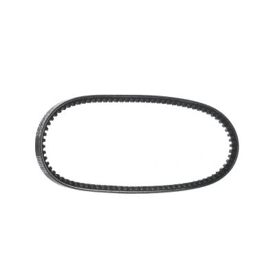 Immagine di DAYCO 10A0610C Cinghie Scanalate 10,0 610,0