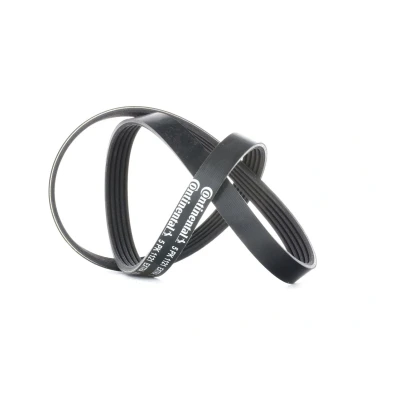 Immagine di CONTITECH 5PK1121 EXTRA Cinghia Poly V 1121 5 VOLVO: XC60 I, S60 II, XC70 II Station Wagon mister auto, norauto, autozona