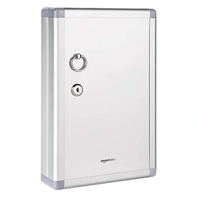 Immagine di Amazon Basics Cassetta di sicurezza per 24 Chiave, con serratura, 6.1 x 21.59 31.75 cm, Argento