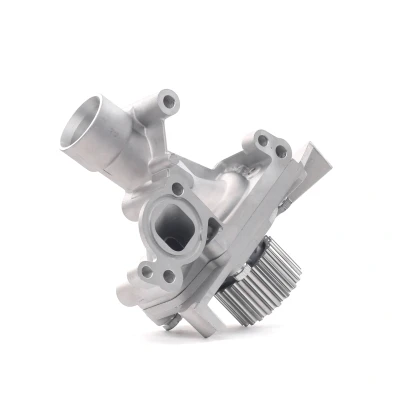 Immagine di DOLZ C138 Pompa acqua con alloggiamento PEUGEOT: 206 Hatchback, 307 Station Wagon, CITROËN: Xsara Picasso, C5 3, C4 Picasso 1