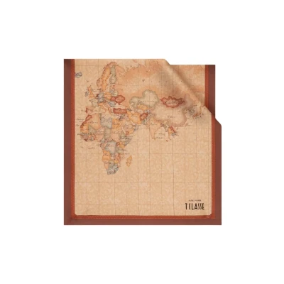 Immagine di Alviero Martini 1A Classe Sciarpa Geo Classic in seta 45 x 180 K3148 ALOE Chestnut