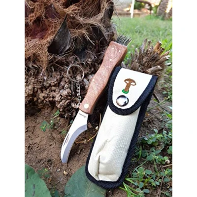 Immagine di Coltello Funghi con Spazzola per Raccolta Porcini cardoncelli Tartufo Lama in Acciaio Inox Custodia