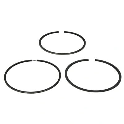 Immagine di GOETZE ENGINE 08 112100 00 Kit Fasce Elastiche 127