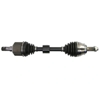 Immagine di Albero motore/Semiasse PASCAL G2G061PC