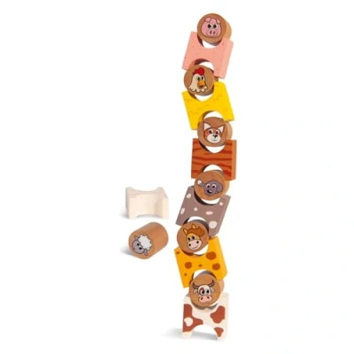 Immagine di Eichhorn Gioco impilabile, Multicolore, 4003046005783
