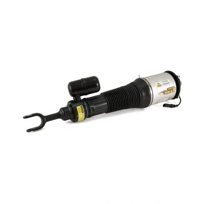 Immagine di Arnott AS 2580 Gamba elastica con ammortiz. pneumatico anteriore Dx