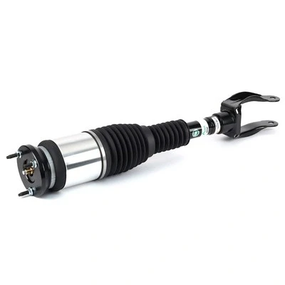 Immagine di Arnott AS 3155 Gamba elastica con ammortiz. pneumatico anteriore Dx