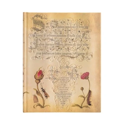 Immagine di Paperblanks Rosa Fiamminga Diari a copertina rigida Ultra Righe: Hardcover, 120 gsm, ribbon marker, memento pouch, elastic closure, book edge printing