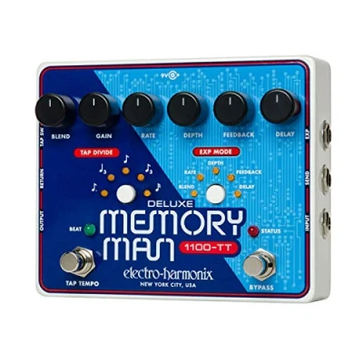 Immagine di Electro Harmonix Deluxe Memory Man