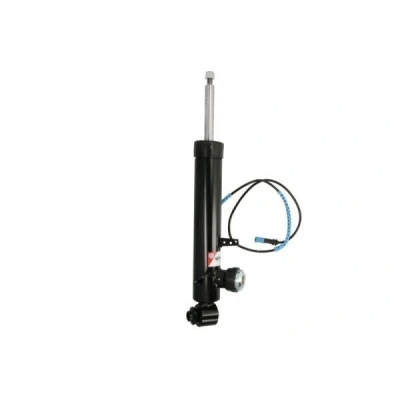 Immagine di Magnum Technology APB008MT Ammortizzatore Assale posteriore Dx Pressione olio tipo McPherson Spina superiore, Collare inferiore BMW: X5