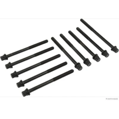 Immagine di HERTH+BUSS JAKOPARTS J1284001 Kit Bulloni Testata Multidentata esterna