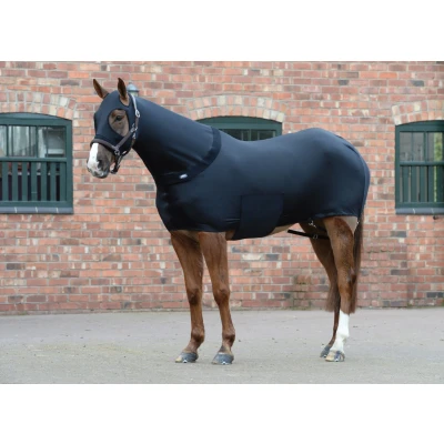 Immagine di Weatherbeeta Stretch Rug