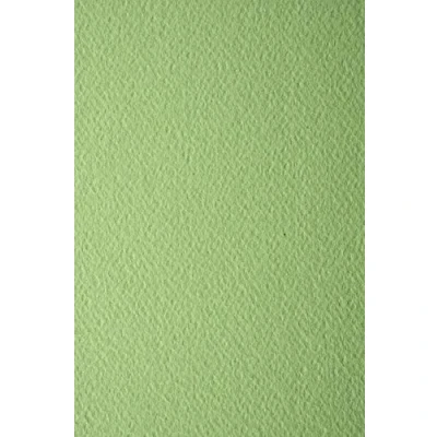 Immagine di Netuno 10 cartoncini marcati a feltro verde Pistacchio formato A4 210x 297 mm 220g Prisma carta colorata con texture per biglietti inviti partecipazioni matrimonio fai da te copertine