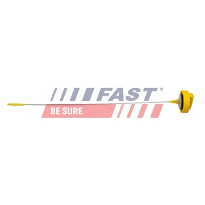 Immagine di FAST FT80302 Asta Livello Olio RENAULT: Kangoo I Express, CLIO 2, MEGANE 2