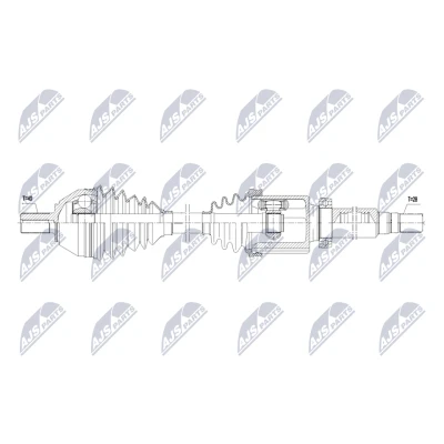Immagine di Albero motore/Semiasse NTY NPW FR 177