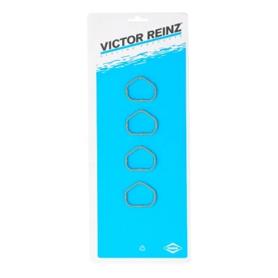 Immagine di REINZ 11 35242 01 Kit guarnizioni, Collettore aspirazione RENAULT: CLIO 3, Modus / Grand Modus, Kangoo I, DACIA: SANDERO 2, PEUGEOT: 206 Hatchback