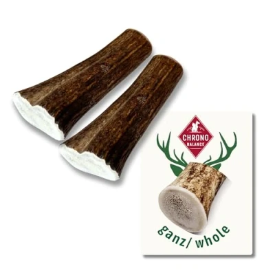 Immagine di ChronoBalance® (XS Set di 2) Corna Cervo per Cani (Pezzi Interi) Bastoncino da Masticare Naturale, Osso Cervo, Giocattolo Lunga Durata, Cura dei Denti, Sostenibile Sicuro, Snack Nutriente