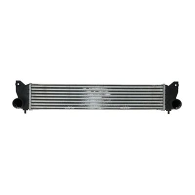 Immagine di NRF 30369 Intercooler con cuscinetto in gomma