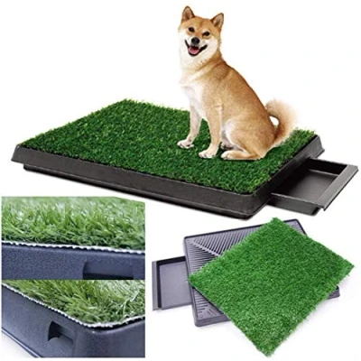 Immagine di Toilette per cani addestrata da 63 x 50 7 cm perfetta cuccioli e anziani, uso interno ed esterno